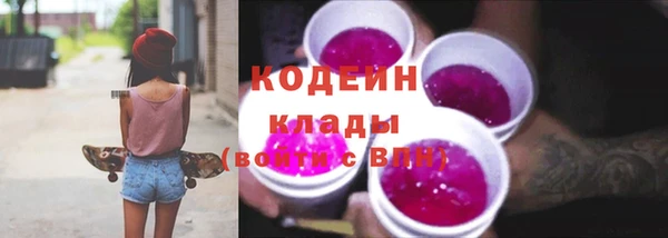 стафф Тутаев