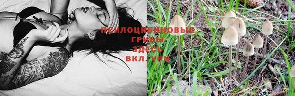 mdpv Вязьма